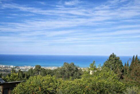 Vista costera con árboles de naranjas