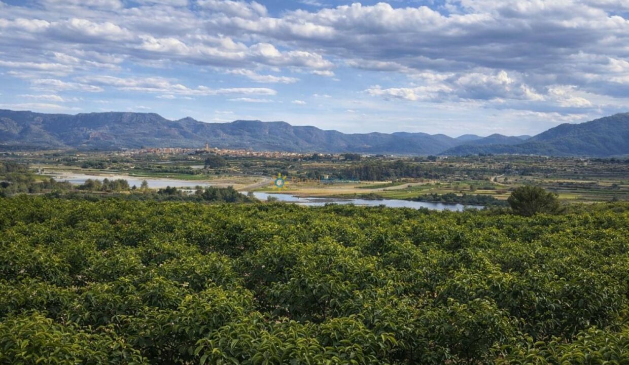 Vista panorámica del valle agrícola
