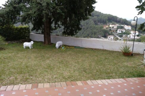 WhatsApp Image 2020-06-04 at 13.31.12 (2)