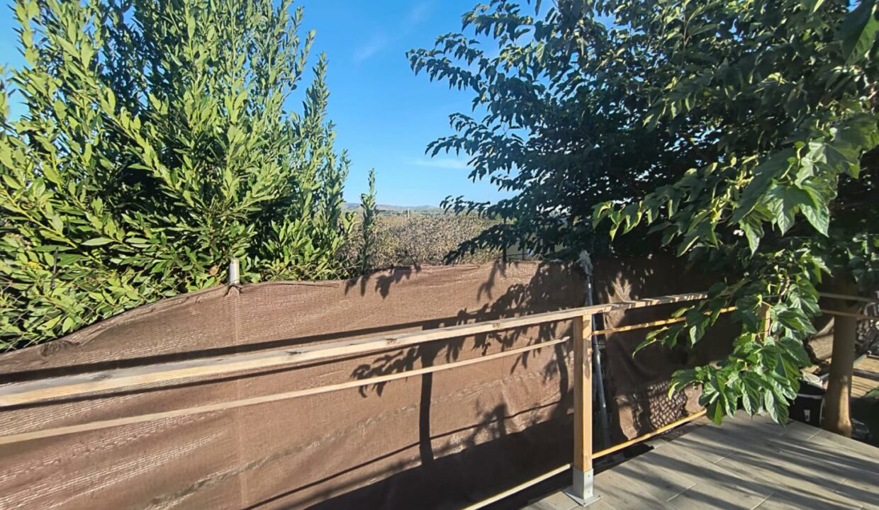 WhatsApp Image 2025-09-17 at 11.05.46