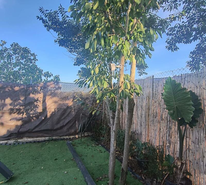 WhatsApp Image 2025-09-17 at 11.05.48