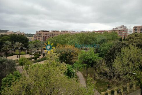 WhatsApp Image 2026-04-10 at 08.21.51 (1)